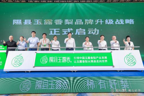 山西隰縣發起玉露香梨高質量發展倡議