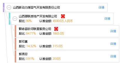 山西新動力煤層氣開發有限責任公司 工商信息 信用報告 財務報表 電話地址查詢 天眼查